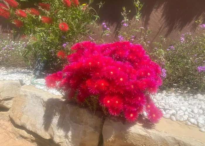 Hotel Le Sully Meyrueis