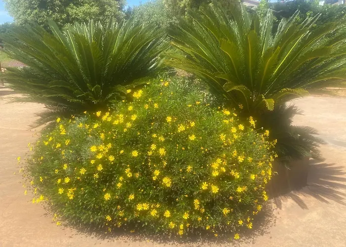 Le Sully Hotel Meyrueis